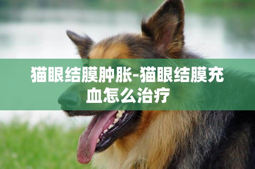 貓眼結膜腫脹-貓眼結膜充血怎么治療