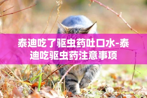 泰迪吃了驅蟲藥吐口水-泰迪吃驅蟲藥注意事項