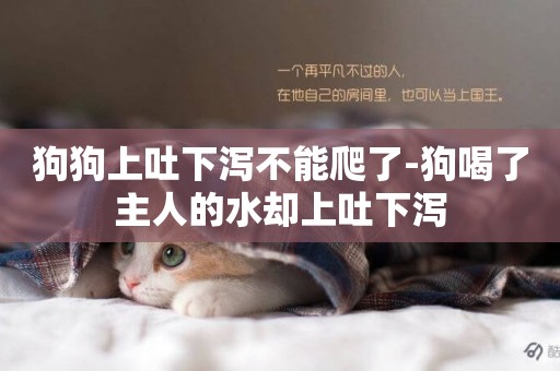 狗狗上吐下瀉不能爬了-狗喝了主人的水卻上吐下瀉