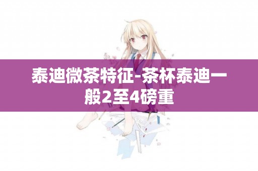 泰迪微茶特征-茶杯泰迪一般2至4磅重