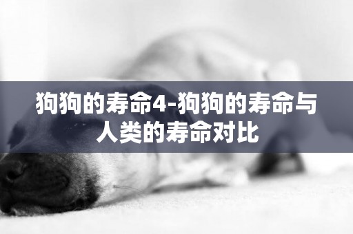 狗狗的壽命4-狗狗的壽命與人類的壽命對比