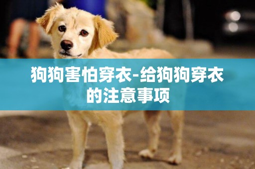 狗狗害怕穿衣-給狗狗穿衣的注意事項