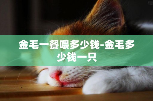 金毛一餐喂多少錢-金毛多少錢一只
