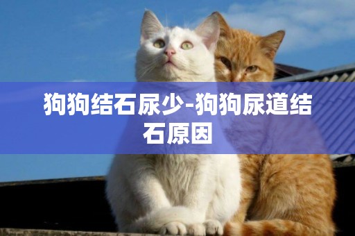狗狗結石尿少-狗狗尿道結石原因