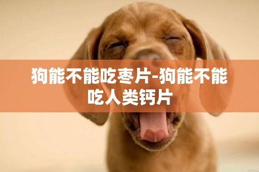 狗能不能吃棗片-狗能不能吃人類鈣片