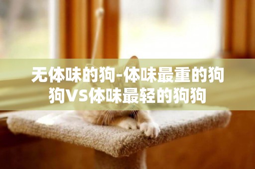 無體味的狗-體味最重的狗狗VS體味最輕的狗狗