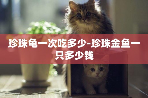 珍珠龜一次吃多少-珍珠金魚一只多少錢