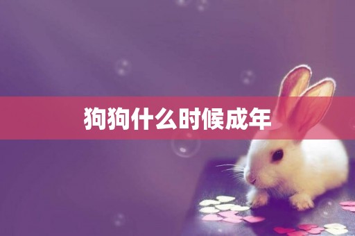 狗狗什么時候成年