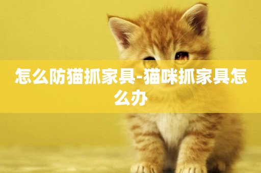 怎么防貓抓家具-貓咪抓家具怎么辦