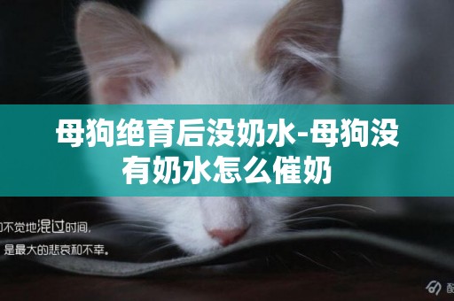 母狗絕育后沒奶水-母狗沒有奶水怎么催奶