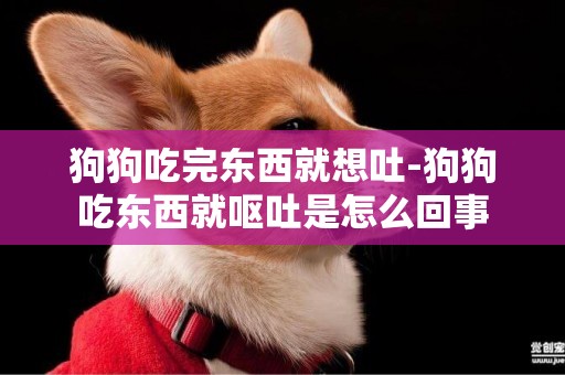 狗狗吃完東西就想吐-狗狗吃東西就嘔吐是怎么回事