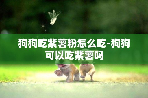 狗狗吃紫薯粉怎么吃-狗狗可以吃紫薯嗎