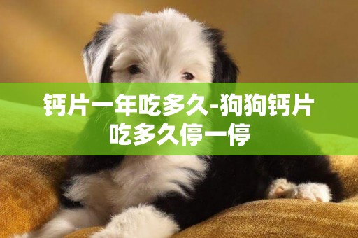 鈣片一年吃多久-狗狗鈣片吃多久停一停