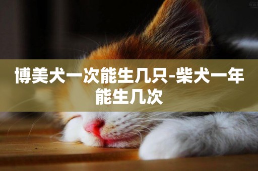 博美犬一次能生幾只-柴犬一年能生幾次