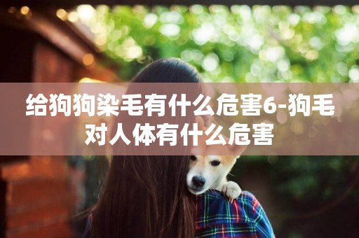 給狗狗染毛有什么危害6-狗毛對人體有什么危害