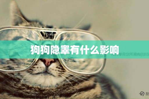 狗狗隱睪有什么影響