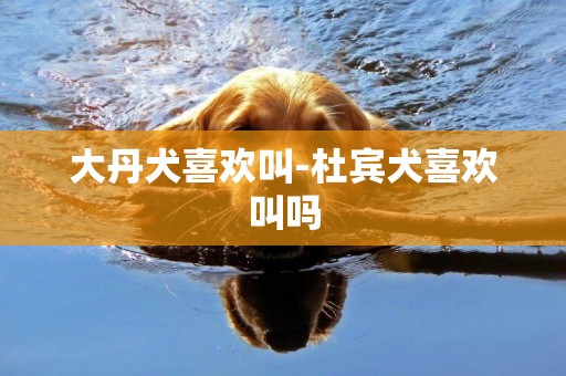 大丹犬喜歡叫-杜賓犬喜歡叫嗎