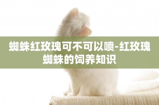蜘蛛紅玫瑰可不可以噴-紅玫瑰蜘蛛的飼養知識