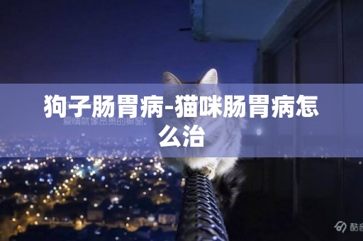 狗子腸胃病-貓咪腸胃病怎么治
