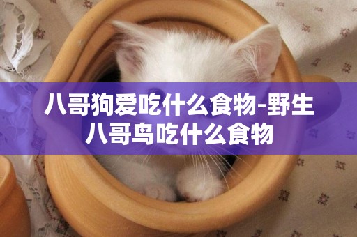 八哥狗愛吃什么食物-野生八哥鳥吃什么食物