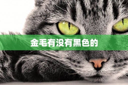 金毛有沒有黑色的