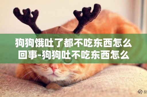 狗狗餓吐了都不吃東西怎么回事-狗狗吐不吃東西怎么回事