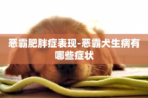 惡霸肥胖癥表現-惡霸犬生病有哪些癥狀