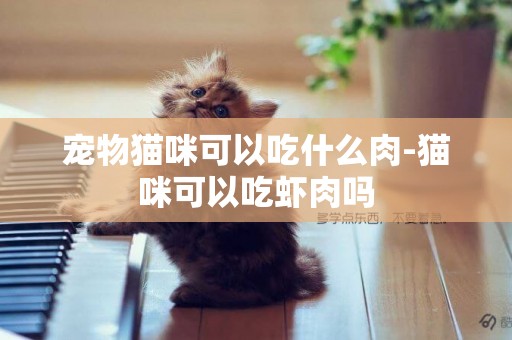 寵物貓咪可以吃什么肉-貓咪可以吃蝦肉嗎