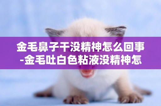 金毛鼻子干沒精神怎么回事-金毛吐白色粘液沒精神怎么回事