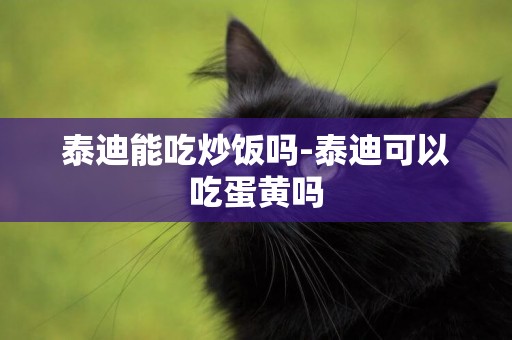 泰迪能吃炒飯嗎-泰迪可以吃蛋黃嗎