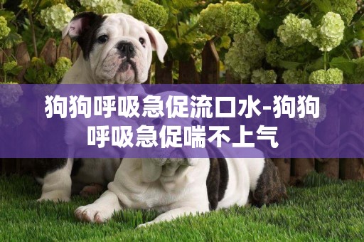 狗狗呼吸急促流口水-狗狗呼吸急促喘不上氣