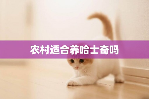 農村適合養哈士奇嗎