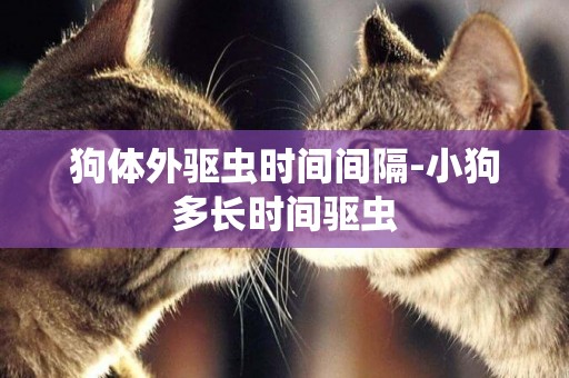 狗體外驅蟲時間間隔-小狗多長時間驅蟲
