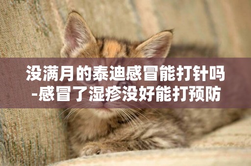 沒滿月的泰迪感冒能打針嗎-感冒了濕疹沒好能打預防針嗎