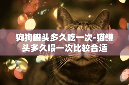狗狗罐頭多久吃一次-貓罐頭多久喂一次比較合適