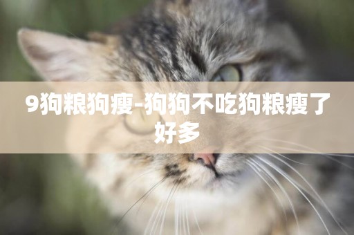 9狗糧狗瘦-狗狗不吃狗糧瘦了好多