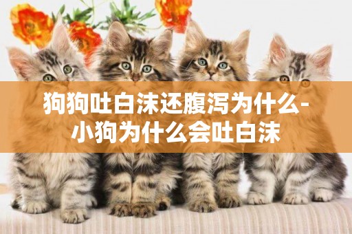 狗狗吐白沫還腹瀉為什么-小狗為什么會吐白沫