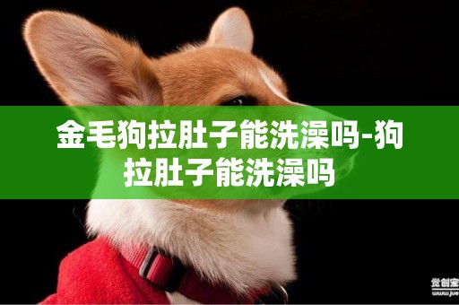 金毛狗拉肚子能洗澡嗎-狗拉肚子能洗澡嗎