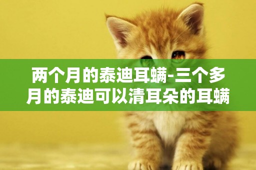 兩個月的泰迪耳螨-三個多月的泰迪可以清耳朵的耳螨么