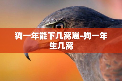 狗一年能下幾窩崽-狗一年生幾窩