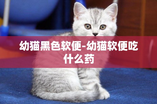 幼貓黑色軟便-幼貓軟便吃什么藥
