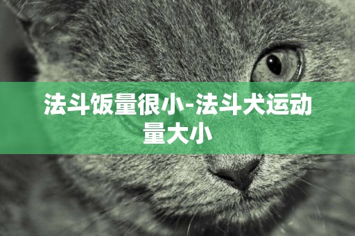 法斗飯量很小-法斗犬運動量大小