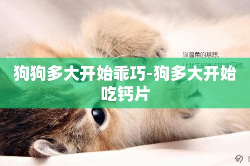 狗狗多大開始乖巧-狗多大開始吃鈣片