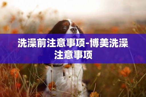 洗澡前注意事項-博美洗澡注意事項