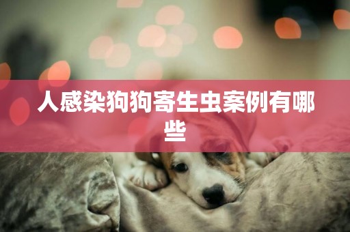 人感染狗狗寄生蟲案例有哪些