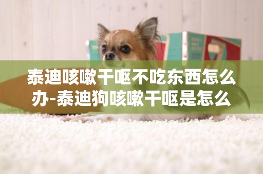 泰迪咳嗽干嘔不吃東西怎么辦-泰迪狗咳嗽干嘔是怎么回事