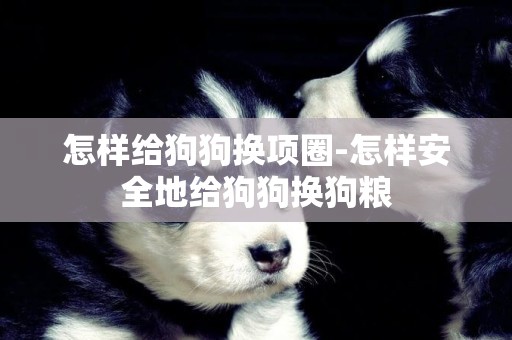 怎樣給狗狗換項圈-怎樣安全地給狗狗換狗糧