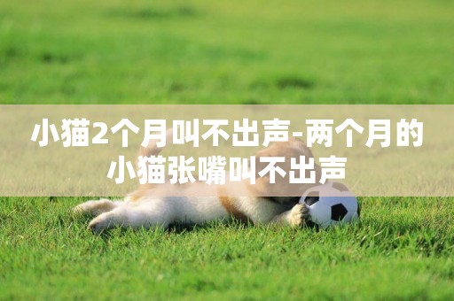 小貓2個月叫不出聲-兩個月的小貓張嘴叫不出聲