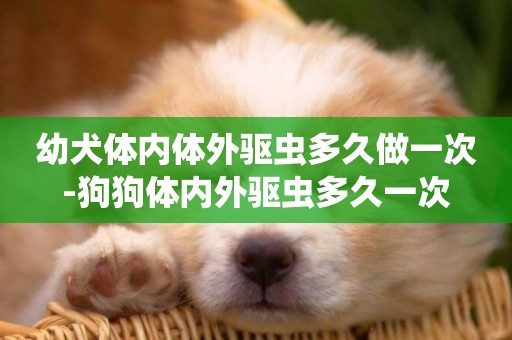 幼犬體內體外驅蟲多久做一次-狗狗體內外驅蟲多久一次