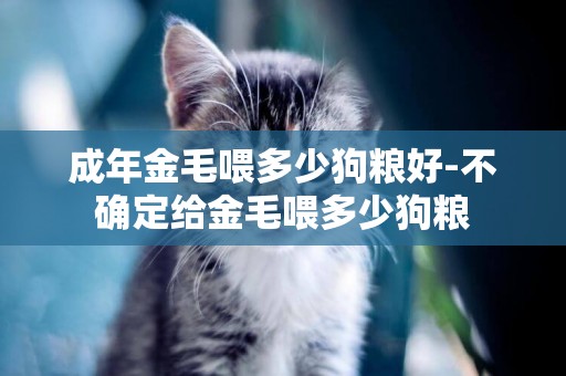 成年金毛喂多少狗糧好-不確定給金毛喂多少狗糧
